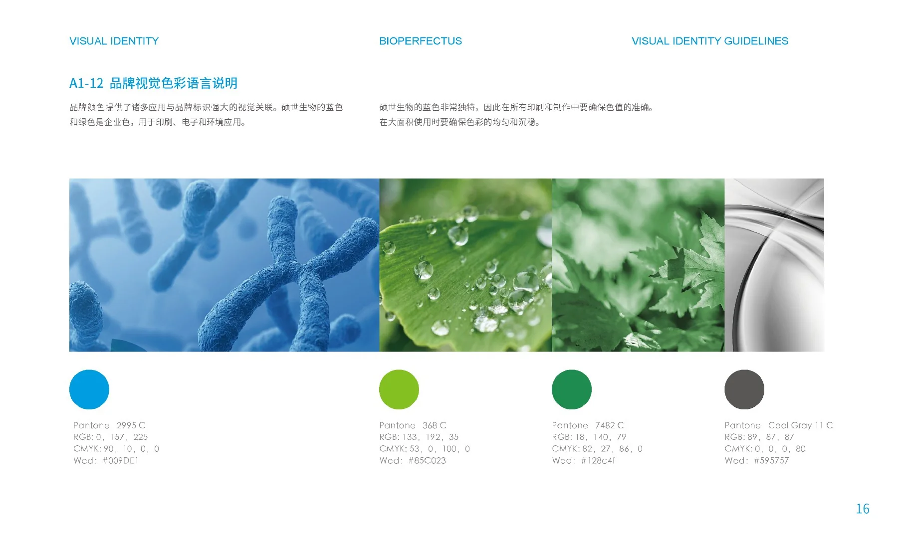 硕世生物品牌视觉手册第21页