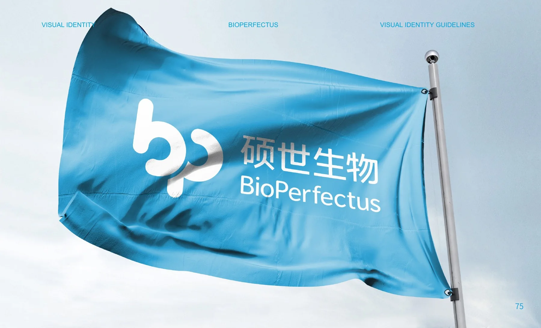 硕世生物品牌视觉手册第80页