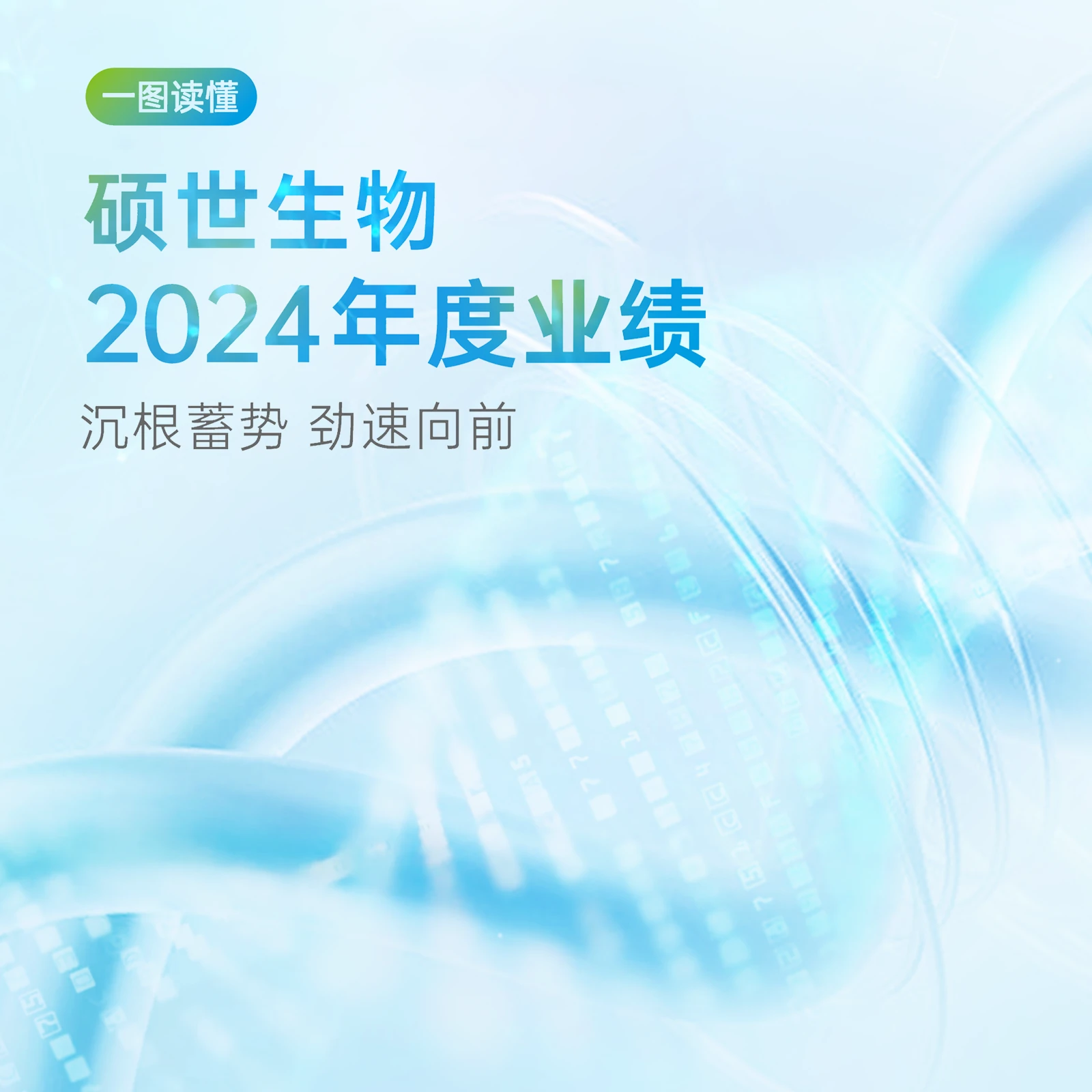 硕世生物 硕世生物2024年度业绩封面